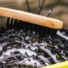 Cepillo Limpieza Transmision Bici Peatys Drivetrain Brush